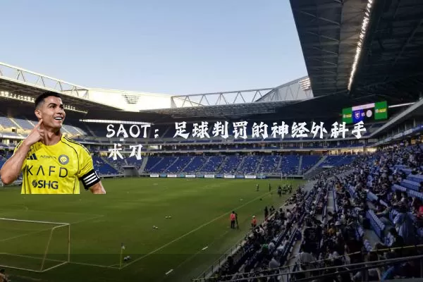 SAOT:足球判罚的神经外科手术刀